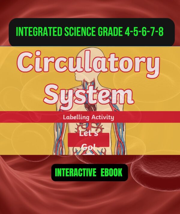 Easy Circulatory System Interactive Labelling Activity