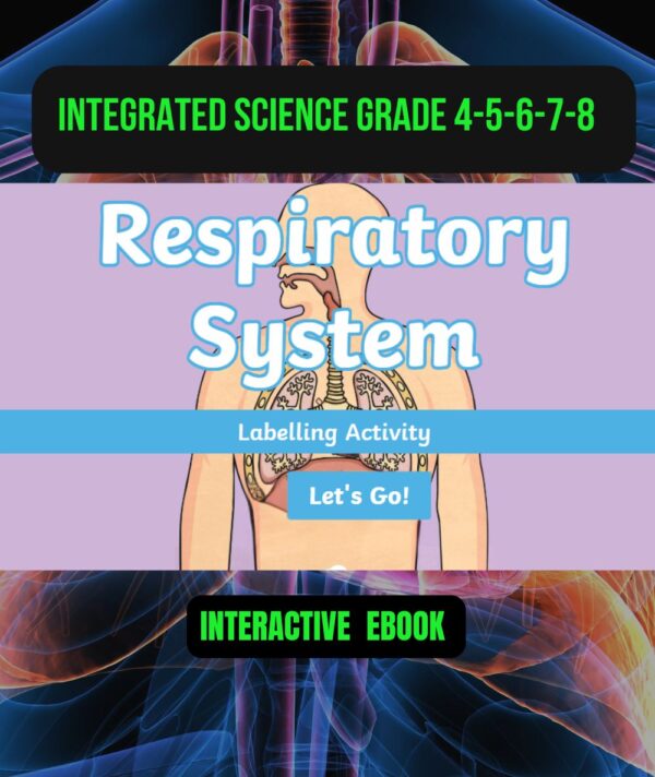 Respiratory System Interactive Labelling Activity