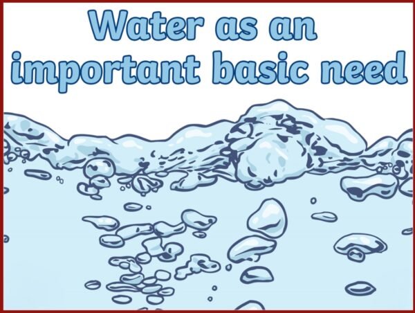 Grade 1: Water as an important basic need